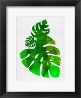 Framed Tropical Monstera Leaves