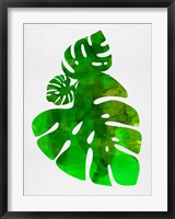 Framed Tropical Monstera Leaves