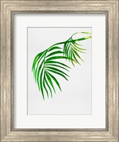 Framed Palm Tree Leaves