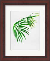 Framed Palm Tree Leaves