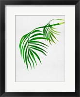 Framed Palm Tree Leaves