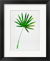 Framed Tropical Chamaerops Leaf I