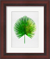 Framed Tropical Chamaerops Leaf