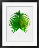 Framed Tropical Chamaerops Leaf