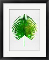 Framed Tropical Chamaerops Leaf