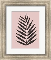 Framed Blush Pink Tropical Leaf II