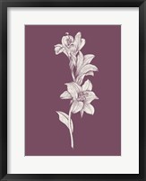 Framed Lily Purple Flower