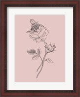 Framed Rose Blush Pink Flower