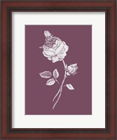 Framed Rose Purple Flower