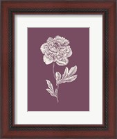 Framed Peony Purple Flower