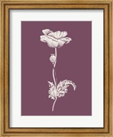 Framed Poppy Purple Flower