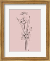 Framed Narcissus Blush Pink Flower