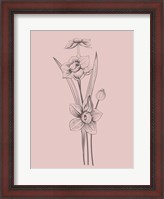 Framed Narcissus Blush Pink Flower