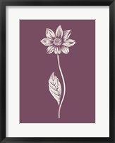 Framed Dahlia Purple Flower