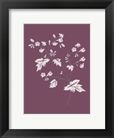 Framed Phacelia Purple Flower