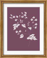 Framed Phacelia Purple Flower
