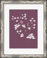 Framed Phacelia Purple Flower