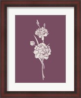 Framed Carnation Purple Flower