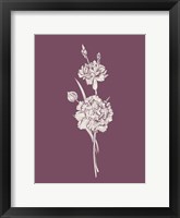 Framed Carnation Purple Flower