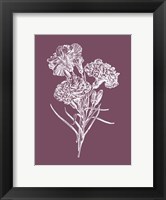 Framed Carnations Purple Flower