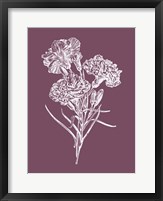 Framed Carnations Purple Flower