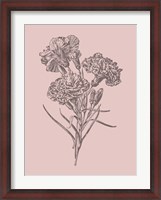 Framed Carnations Bush Pink Flower