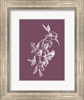 Framed Inflorescence Purple Flower