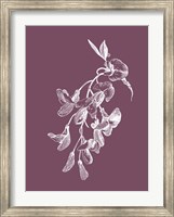 Framed Inflorescence Purple Flower