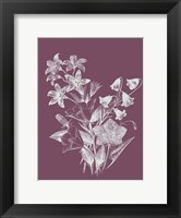 Framed Campanulas Purple Flower