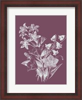 Framed Campanulas Purple Flower