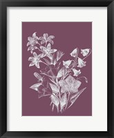 Framed Campanulas Purple Flower