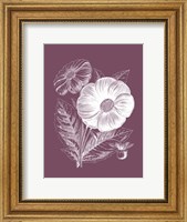 Framed Single Dahlias Purple Flower