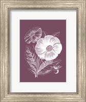 Framed Single Dahlias Purple Flower