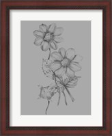 Framed Flower Sketch
