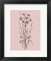 Framed Blush Pink Flower Sketch I