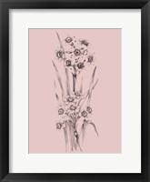 Framed Blush Pink Flower Sketch I