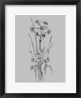 Flower Sketch I Framed Print