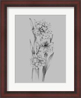 Framed Flower Sketch III