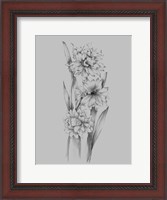 Framed Flower Sketch III