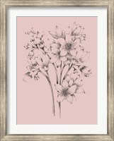 Framed Blush Pink Flower Drawing