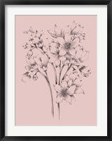 Framed Blush Pink Flower Drawing