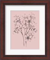 Framed Blush Pink Flower Drawing