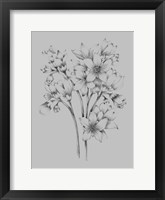 Flower Drawing Framed Print