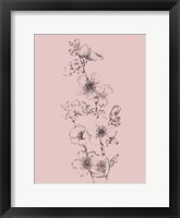 Framed Blush Pink Flower Drawing I