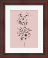 Framed Blush Pink Flower Drawing II