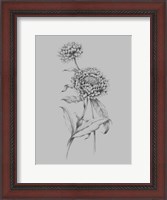 Framed Flower Drawing III