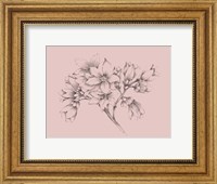 Framed Blush Pink Flower Illustration