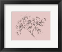 Framed Blush Pink Flower Illustration