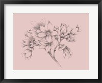 Framed Blush Pink Flower Illustration