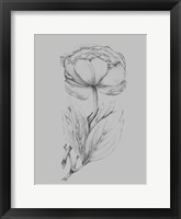 Flower Illustration I Framed Print